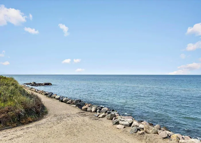 Ln393-hjorring-klitrenden-5 *